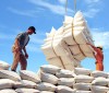 Tình hình xuất, nhập khẩu tháng 9 và 9 tháng năm 2008