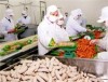 Việt Nam trong tốp 10 điểm thu hút các nhà đầu tư Đức