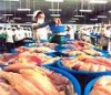 Kết quả rà soát 5 năm cá tra – basa của Bộ Thương mại Hoa Kỳ