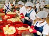 Xuất khẩu năm 2010: Tăng trưởng trong gian khó