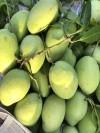 Mỹ chính thức cho phép nhập khẩu Xoài từ Việt Nam