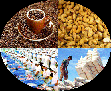 WEBINAR ON AGRI./FOOD BUSINESS DEVELOPMENT BETWEEN THE US AND VIET NAM